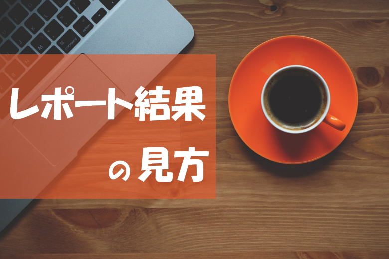 レポート結果の見方